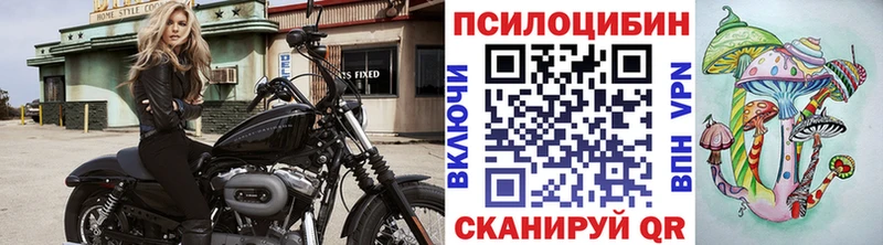 Галлюциногенные грибы Cubensis  kraken маркетплейс  Кемерово 