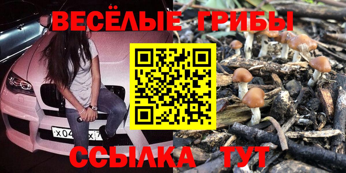 Галлюциногенные грибы Psilocybine cubensis  Галлюциногенные грибы ЛСД  Россия  Вход с VPN 
