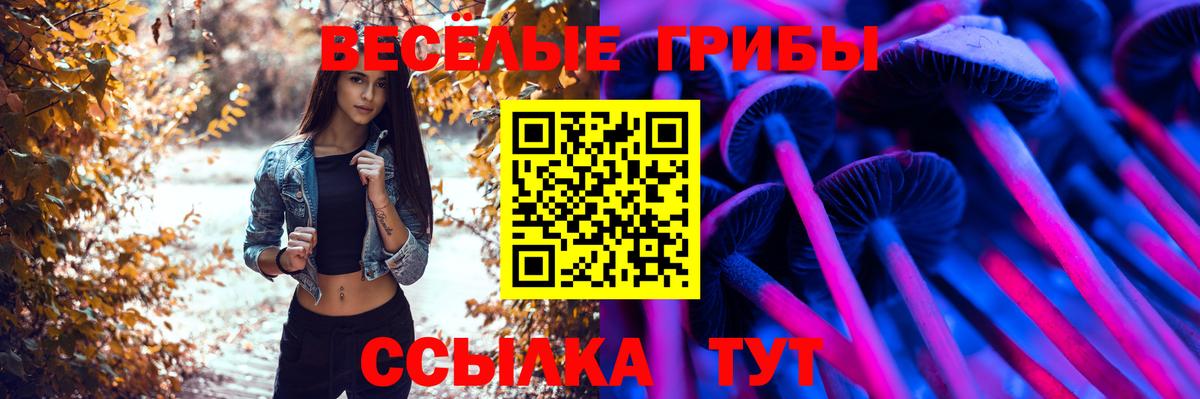Галлюциногенные грибы GOLDEN TEACHER Россия